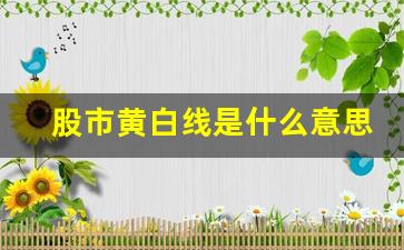 股市黄白线是什么意思(股市黄白线是什么意思啊)_https://www.brunchezvous.com_旅游景点_第1张