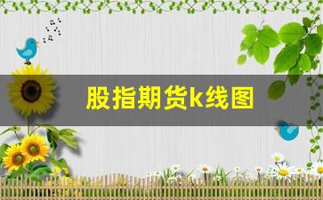 股指期货k线图(股指期货K线图怎么看)_https://www.xzdzchf.com_上交所_第1张