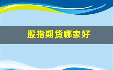 股指期货哪家好(股指期货交易软件排名)_https://www.xzdzcjx.com_创业板_第1张
