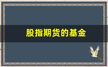 股指期货的基金(股指期货基金产品)_https://www.xzdzcjx.com_创业板_第1张