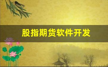 股指期货软件开发(股指期货操作软件)_https://www.fzdzcxj.com_深交所_第1张