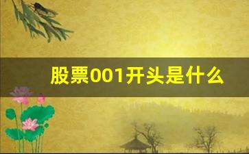 股票001开头是什么板块上市(股票001开头是什么板块上市的)_https://www.brunchezvous.com_自驾游_第1张