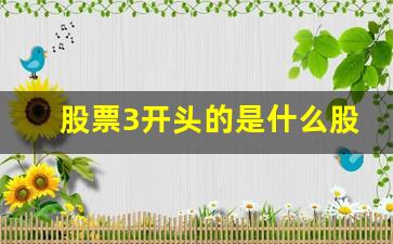 股票3开头的是什么股票(83打头的股票是什么股)_https://www.heiljjianzu.com_深交所_第1张