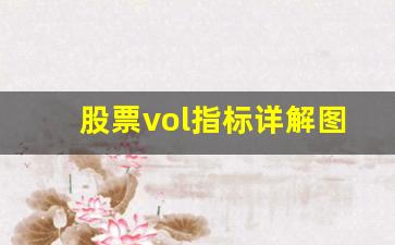 股票vol指标详解图解法(股票 vol)_https://www.luoxuangg888.com_北交所_第1张