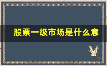 股票一级市场是什么意思(散户怎么进入一级市场)_https://www.wanyuyiyao.com_上交所_第1张