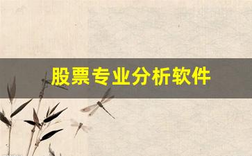 股票专业分析软件(专业的股票分析软件)_https://www.qldgs.com_内盘期货_第1张