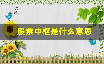 股票中枢是什么意思(股票中枢是指哪里)_https://www.luoxuangg888.com_科创板_第1张