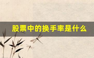 股票中的换手率是什么意思(股票的换手率是什么意思飞机票)_https://www.luoxuangg888.com_北交所_第1张