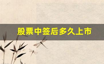 股票中签后多久上市(股票中签是好事还是坏事)_https://www.wanyuyiyao.com_深交所_第1张