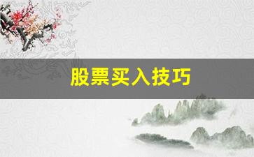 股票买入技巧(股票买入技巧 1000股整数起)_https://www.luoxuangg888.com_创业板_第1张