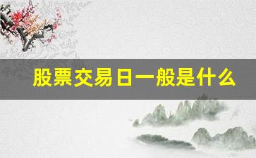 股票交易日一般是什么时候(股票交易日一般是什么时候开始)_https://www.heiljjianzu.com_北交所_第1张