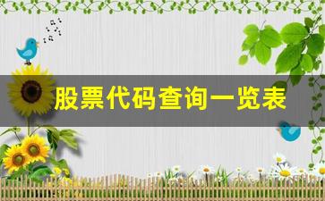 股票代码查询一览表(股票代码查询一览表北京空中网集团现在上市了吗)_https://www.shshucaipeisong.com_北交所_第1张