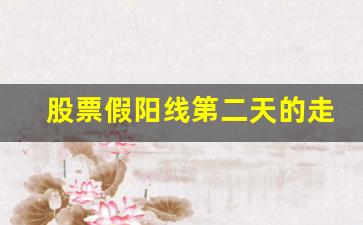 股票假阳线第二天的走势(股票出现假阳线)_https://www.syklpowerbike.com_上交所_第1张