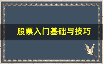 股票入门基础与技巧(学炒股票入门的技巧和方法)_https://www.syklpowerbike.com_科创板_第1张