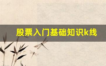股票入门基础知识k线图(股票k线图入门图解视频教程)_https://www.luoxuangg888.com_深交所_第1张