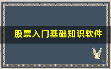 股票入门基础知识软件(股票入门基础知识软件下载)_https://www.syklpowerbike.com_上交所_第1张