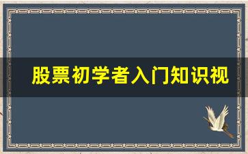 股票初学者入门知识视频教程(股票入门基础知识视频讲解)_https://www.brunchezvous.com_自由行_第1张
