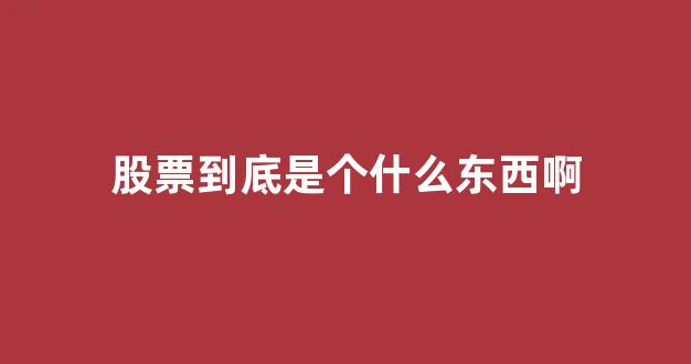 股票到底是个什么东西啊(股票到底是个什么玩意)_https://www.dcjwmf.com_中金所_第1张