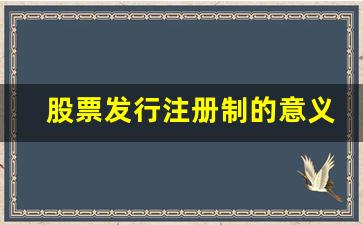 股票发行注册制的意义(股票发行注册制的意义和价值)_https://www.wguangz.com_广期所_第1张