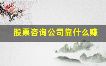 股票咨询公司靠什么赚钱的(股票咨询公司需要哪些资质)_https://www.jyywjc.com_股票_第1张
