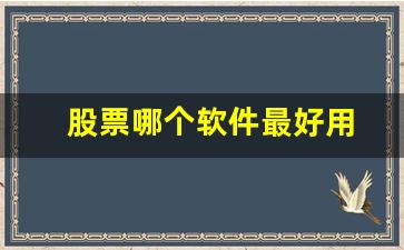 股票哪个软件最好用(股票哪个app好用)_https://www.luoxuangg888.com_上交所_第1张