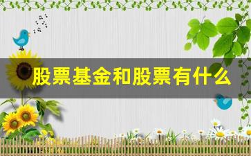 股票基金和股票有什么区别(股票基金和股票有什么区别和联系)_https://www.wanyuyiyao.com_创业板_第1张