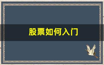 股票如何入门(买股票新手入门怎么买)_https://www.brunchezvous.com_自由行_第1张