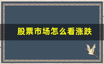 股票市场怎么看涨跌(股票怎么看涨跌趋势)_https://www.dcjwmf.com_上期所_第1张