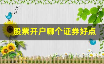 股票开户哪个证券好点(股票开户流程网上开户)_https://www.wguangz.com_大商所_第1张