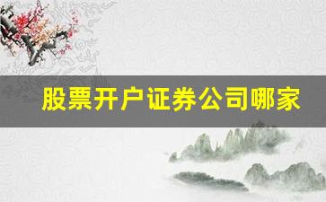 股票开户证券公司哪家好佣金低(买股票开户哪个证券公司佣金低)_https://www.luoxuangg888.com_创业板_第1张