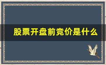 股票开盘前竞价是什么意思(股票开盘和收盘什么意思)_https://www.huakunhengjia.com_金融资讯_第1张