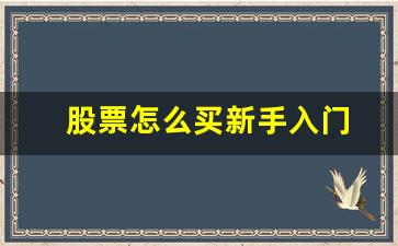 股票怎么买新手入门(股票怎么买新手入门)_https://www.heiljjianzu.com_科创板_第1张