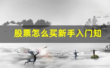 股票怎么买新手入门知乎(股票要怎样买)_https://www.heiljjianzu.com_深交所_第1张