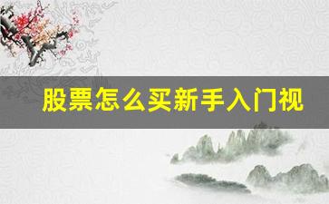 股票怎么买新手入门视频(股票怎么买操作流程)_https://www.eamstsz.com_上交所_第1张