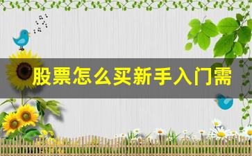 股票怎么买新手入门需要多少钱