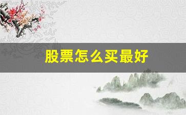 股票怎么买最好(股票怎么买最划算)_https://www.brunchezvous.com_旅游攻略_第1张