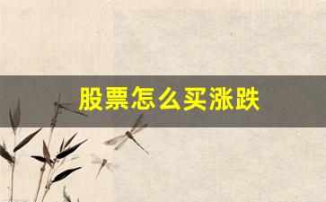 股票怎么买涨跌(股票怎么买涨跌图片视频)_https://www.huakunhengjia.com_金融资讯_第1张