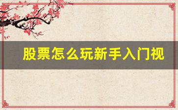 股票怎么玩新手入门视频(股票怎么玩新手如何入手)_https://www.shshucaipeisong.com_创业板_第1张