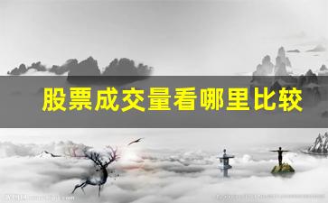 股票成交量看哪里比较准确(股票成交量虚线框是什么意思)_https://www.heiljjianzu.com_深交所_第1张