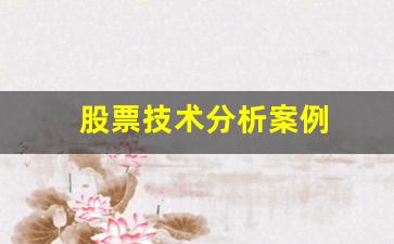 股票技术分析案例(股票技术分析经典书籍)_https://www.qldgs.com_黄金期货_第1张