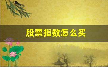 股票指数怎么买(指数怎么买)_https://www.huakunhengjia.com_财经资讯_第1张