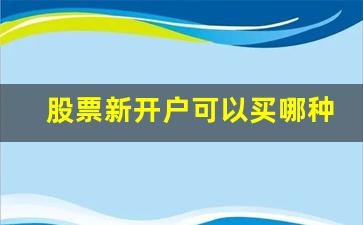股票新开户可以买哪种股票(股票新开户不能买吗)_https://www.luoxuangg888.com_上交所_第1张