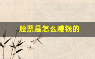 股票是怎么赚钱的(股票是怎么赚钱的 简介)_https://www.luoxuangg888.com_科创板_第1张