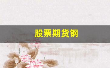 股票期货钢(股票期货怎么玩)_https://www.wguangz.com_郑商所_第1张