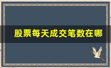股票每天成交笔数在哪里看_https://www.qldgs.com_期货_第1张