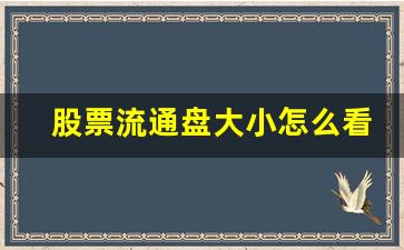 股票流通盘大小怎么看(如何看流通盘)_https://www.qldgs.com_期货_第1张