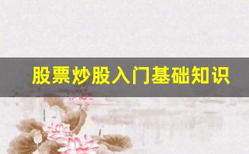 股票炒股入门基础知识(股票炒股入门基础知识书籍)_https://www.jianghaiboli.com_恒指期货_第1张