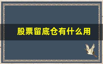 股票留底仓有什么用(股票留底仓有什么用处)_https://www.jumanxin.com_北交所_第1张
