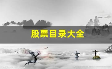 股票目录大全(中国股票大全一览表)_https://www.shshucaipeisong.com_深交所_第1张
