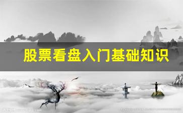 股票看盘入门基础知识(股票看盘是什么意思)_https://www.heiljjianzu.com_科创板_第1张